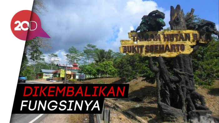 Bukit Soeharto Tetap Hutan Konservasi Meski Ada Ibu Kota