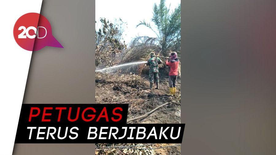 Karhutla di Bengkalis Riau, Sepekan Api Tak Kunjung Padam