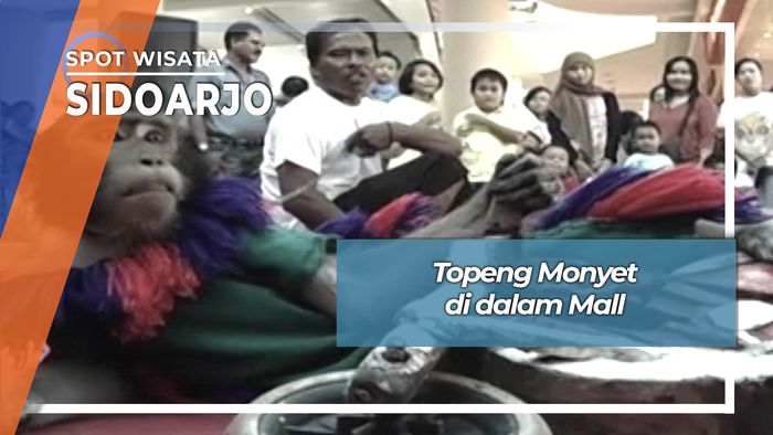 Atraksi Topeng Monyet Di Mall Sidoarjo