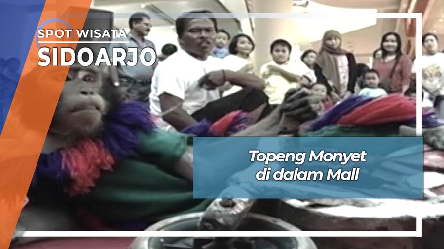 Atraksi Topeng Monyet Di Mall Sidoarjo