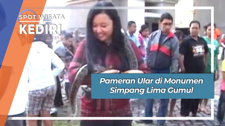 Uniknya Pameran Ular di Monumen Simpang Lima Gumul Kediri 