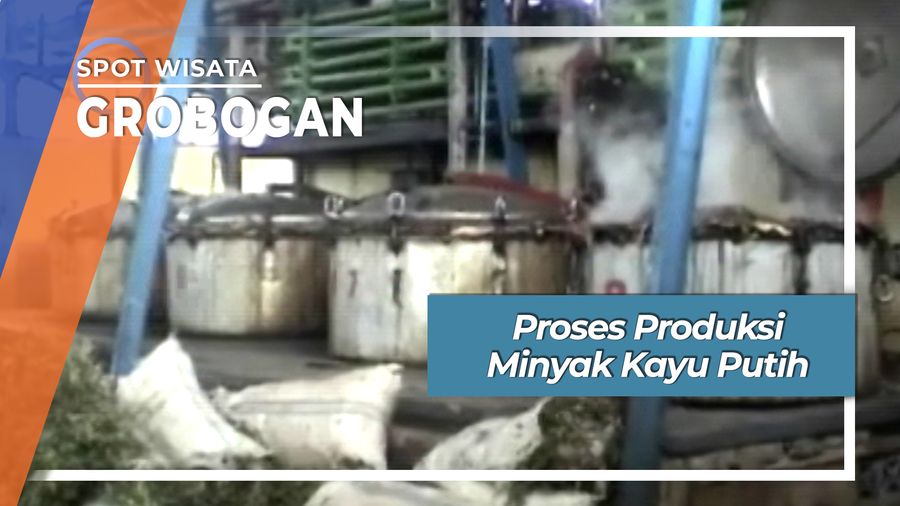 Cara Membuat Minyak Kayu Putih Desa Bandung Grobogan