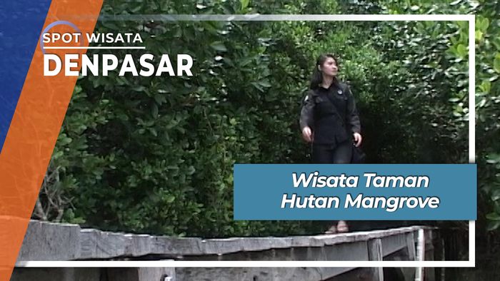 Wisata Taman Hutan Mangrove, Denpasar