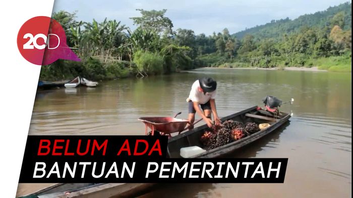 Tak Ada Akses Jalan, Warga Mamuju Susuri Sungai Angkut Hasil Bumi