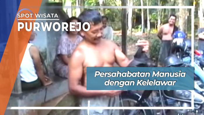 Persahabatan Manusia dengan Jakie Si Kelelawar Dusun Karangnangka Purworejo