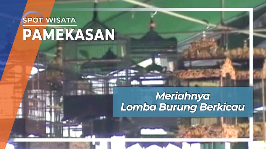 Meriahnya Lomba Burung Berkicau Pamekasan Madura