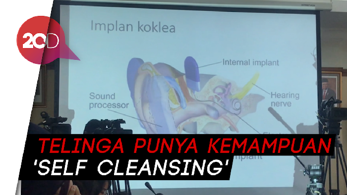 Bersihkan Telinga Pakai Cotton Bud Ternyata Tidak Tepat