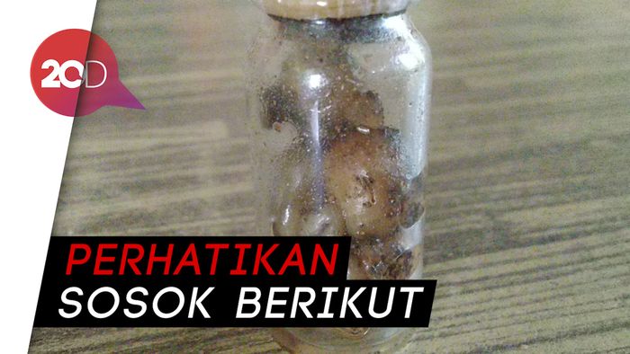 Penampakan Tuyul Dalam Botol Gegerkan Warga Ciamis