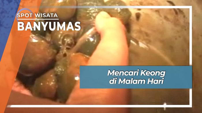 Serunya Berburu Keong Malam Hari di Kracak Ajibarang Banyumas