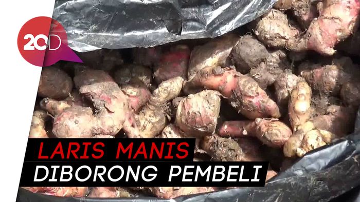 Dipercaya Tangkal Corona, Warga Parepare Borong Jahe
