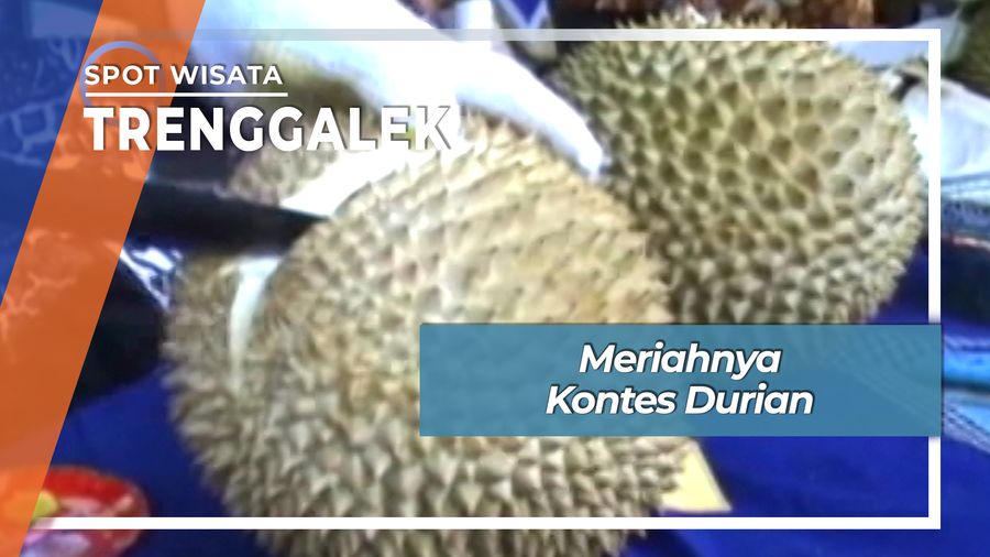 Meriahnya Pesta Aneka Durian Trenggalek Jawa Timur