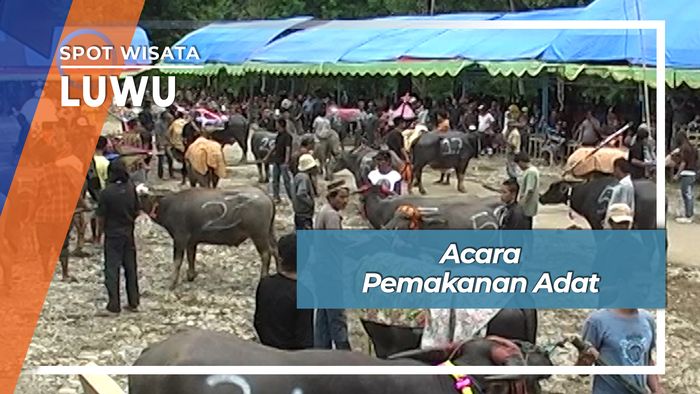 Acara Pemakanan Adat, Luwu. 