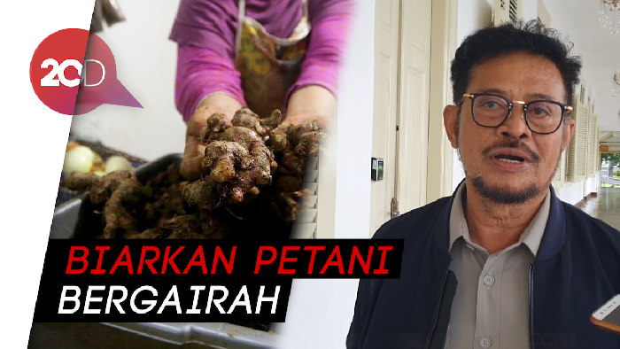 Harga Jahe Merah Naik, Mentan: Nggak Masalah, Bagus