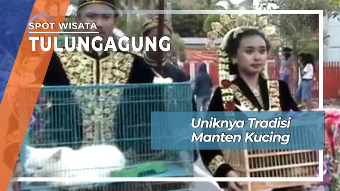 Uniknya Tradisi Manten Kucing, Tulungagung