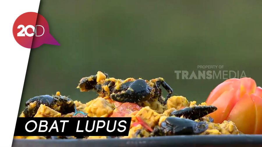 Ngeri-Ngeri Sedap! Sensasi Kalajengking Bumbu Kuning