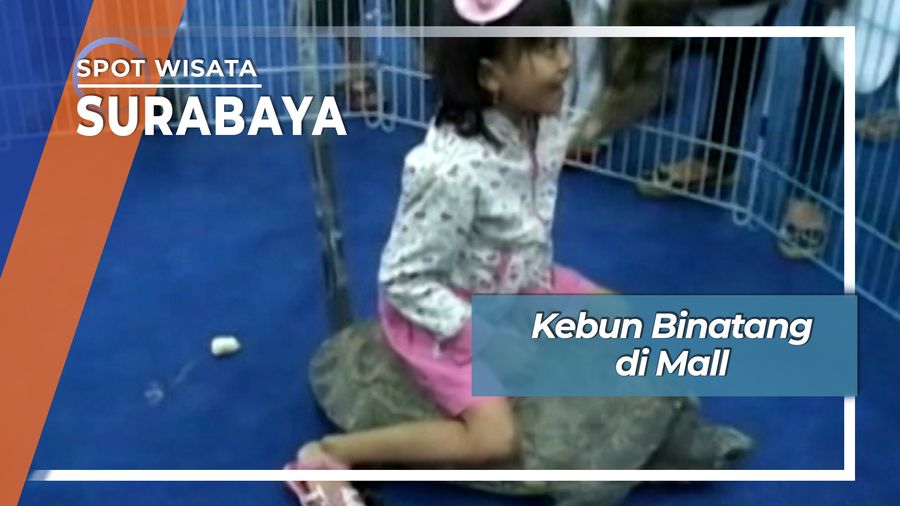 Festival Satwa di Mall Surabaya.