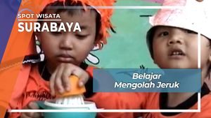 Belajar Mengenal dan Mengolah Buah Jeruk Surabaya Jawa Timur