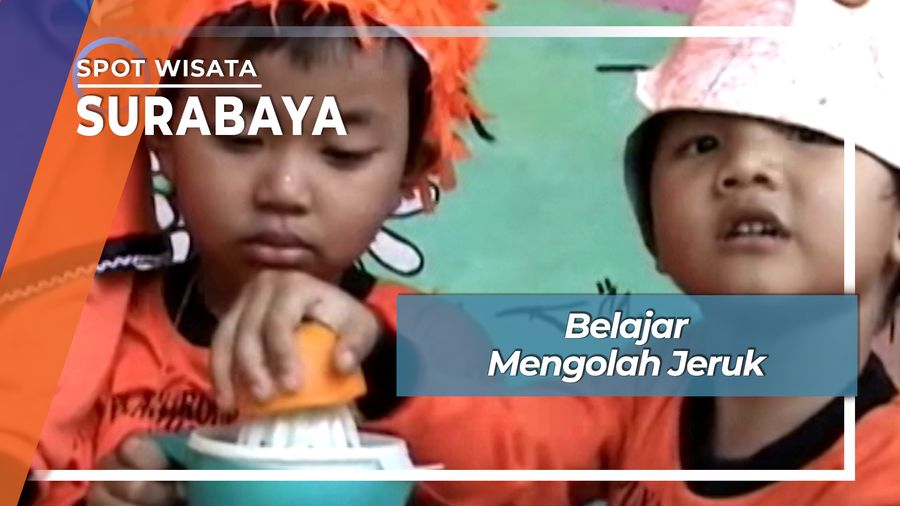 Belajar Mengenal dan Mengolah Buah Jeruk Surabaya Jawa Timur