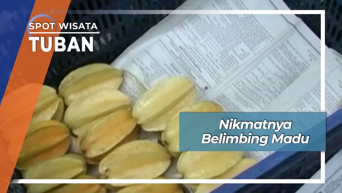 Manisnya Belimbing Madu Desa Tasikmadu Palang Tuban