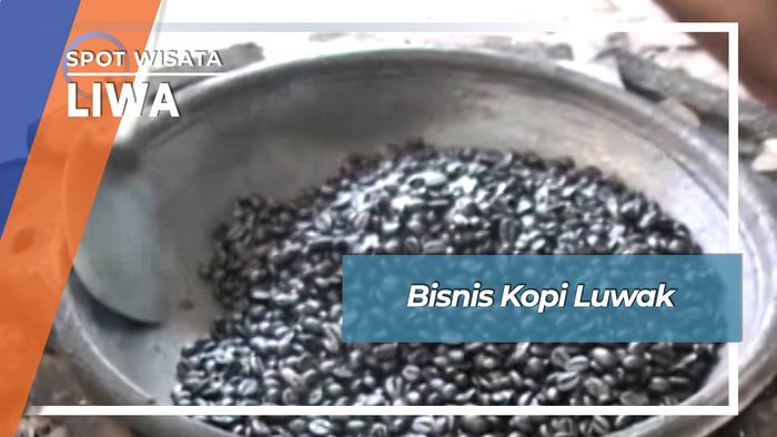 Harumnya Bisnis Kopi Dari Kotoran Luwak Way Mengaku Balik Bukit Liwa