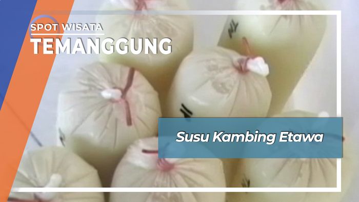 Sehatnya Susu Kambing Etawa Desa Ngudirejo Gandokan Temanggung