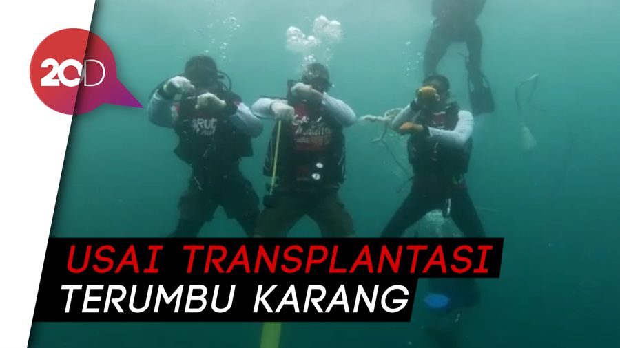  Asyiknya! Tim Garuda di Lautku Main TikTok di Dalam Laut