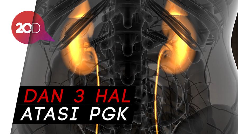 Mengenal 2 Penyebab Penyakit Ginjal Kronis di Hari Ginjal Sedunia