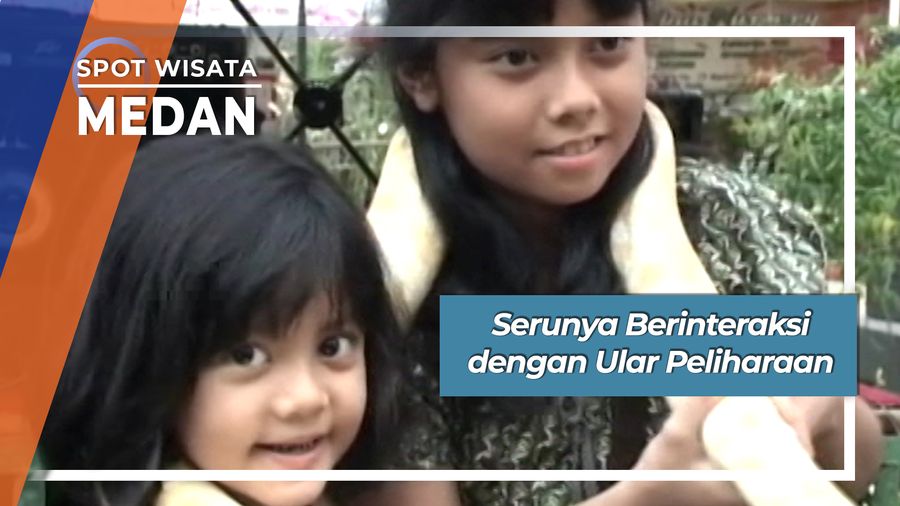 Serunya Berinteraksi dengan Ular Peliharaan, Medan