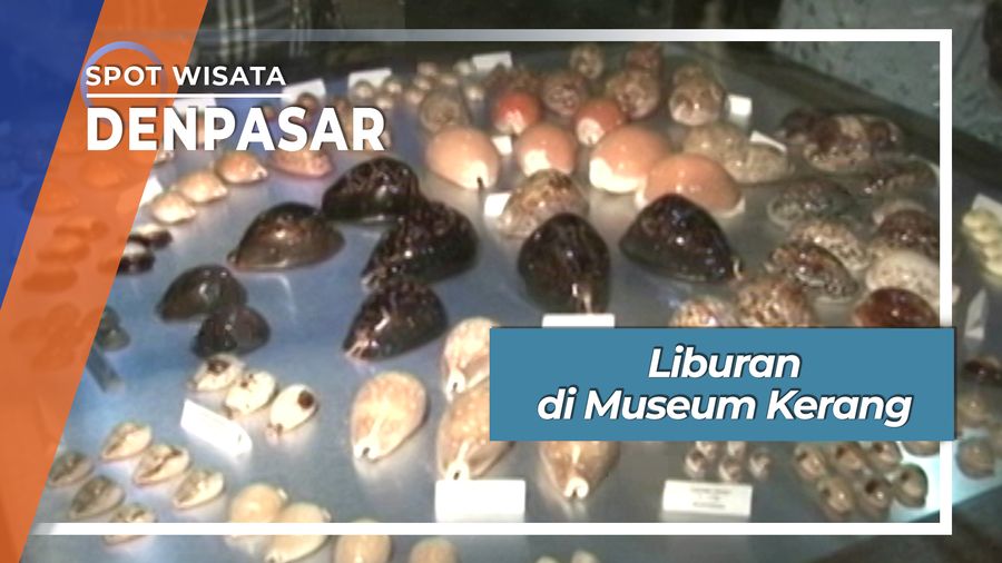 Liburan di Museum Kerang, Denpasar