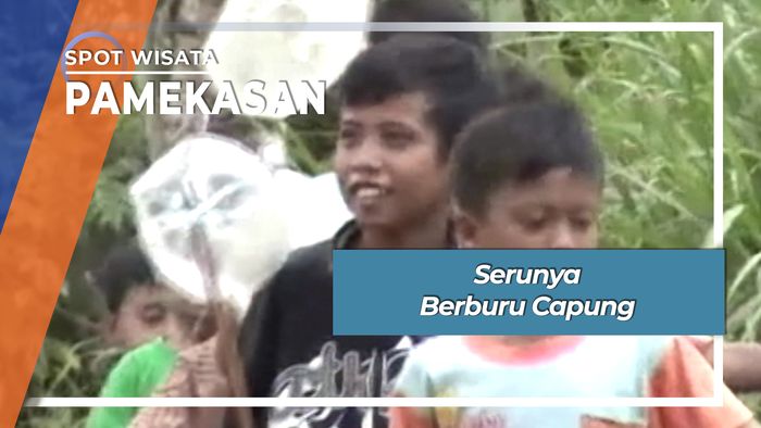 Serunya Berburu Capung Pamekasan Madura Jawa Timur
