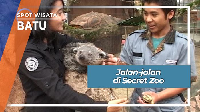 Jalan-jalan Seru di Secret Zoo Batu Malang Jawa Timur