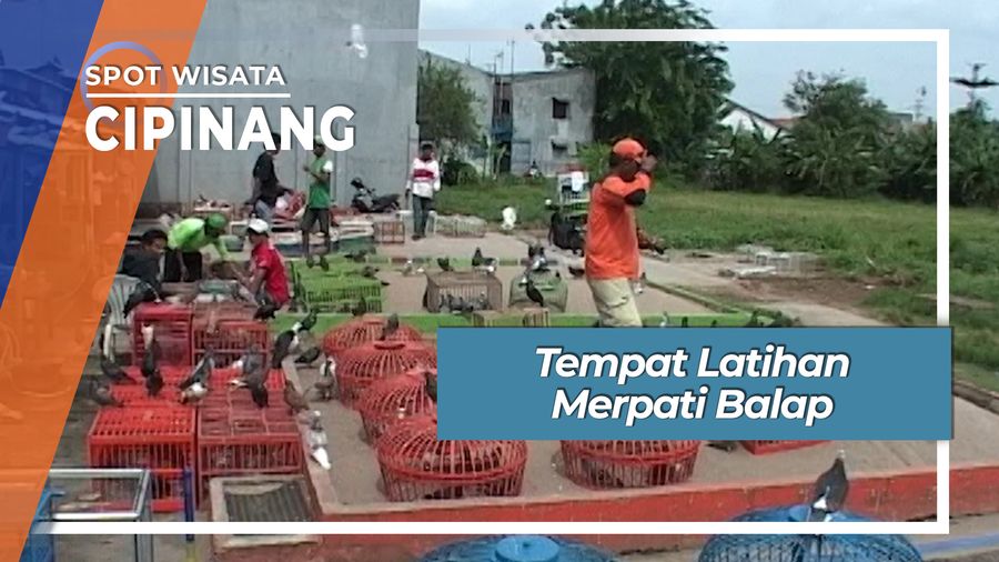 Lapak Latihan Merpati Balap Kebon Bayam Cipinang Muara