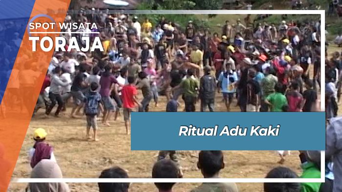 Ritual Adu Kaki, Toraja Utara, Sulawesi Selatan