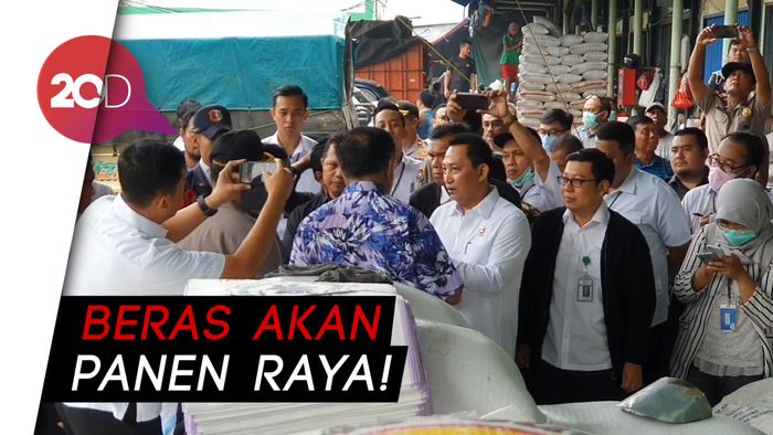 Jangan Panik! Stok Beras Dijamin Cukup Sampai Lebaran