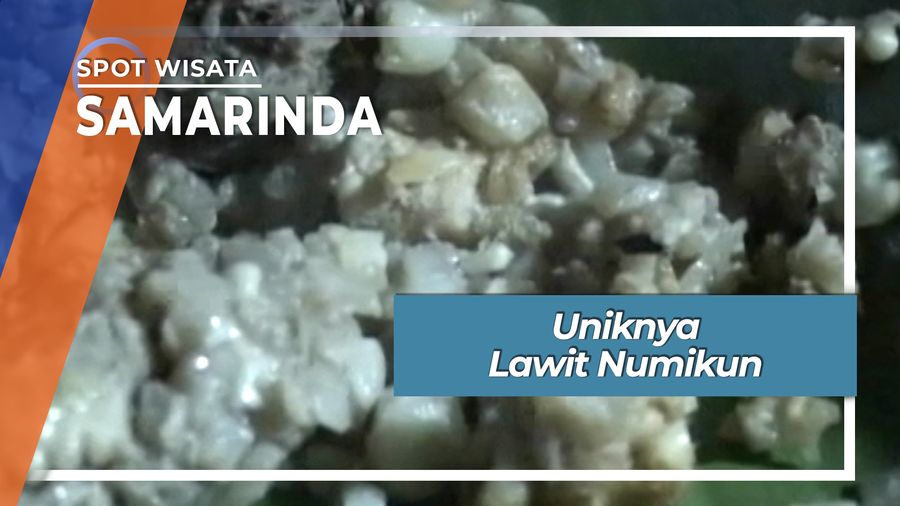 Uniknya Lawit Numikun, Samarinda