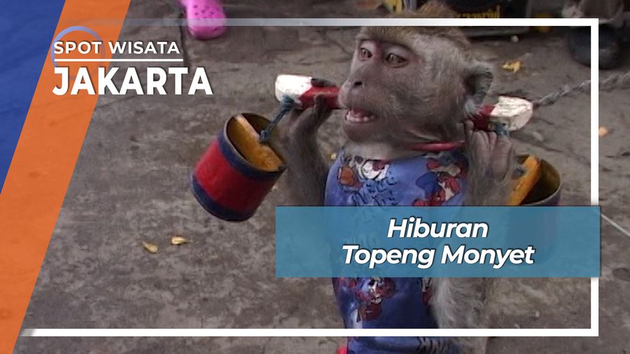 Hiburan Topeng Monyet, Jakarta