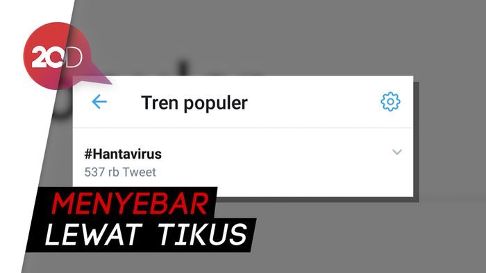 Hantavirus Trending di Twitter, Virus Apakah Itu?