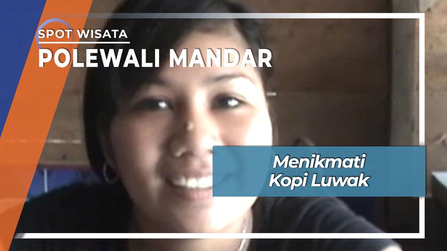 Menikmati Kopi Luwak, Polewali Mandar