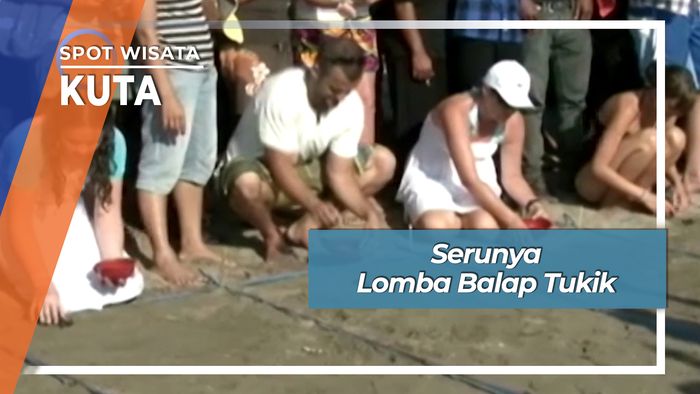 Serunya Bule Bali Berlomba Balap Tukik Pantai Kuta