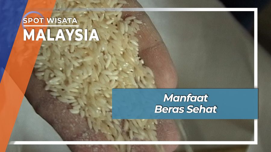 Beras Sehat, Ramah Diabetes Malaysia