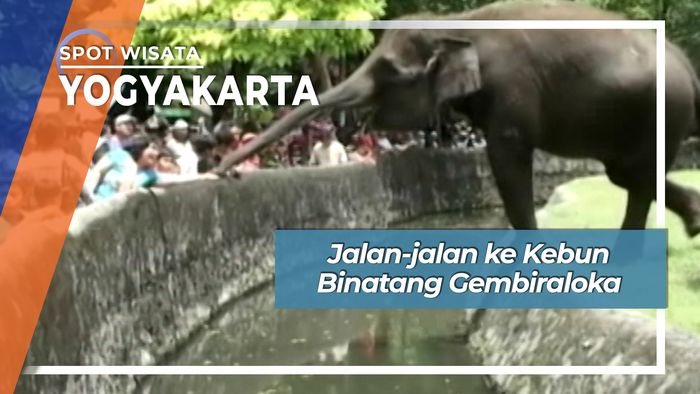 Jalan-jalan ke Kebun Binatang Gembiraloka, Yogyakarta