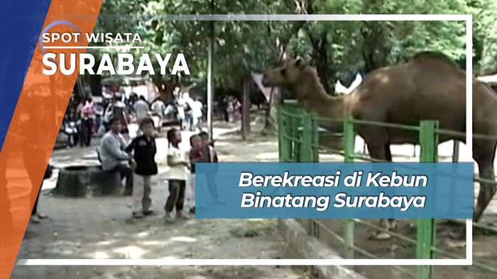 Berekreasi di Kebun Binatang Surabaya, Surabaya