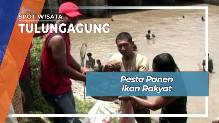 Pesta Panen Ikan Rakyat Tulungagung di Bendungan Boyolangu