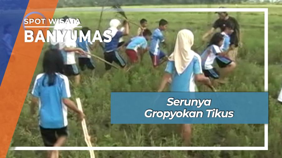 Serunya Gropyokan Tikus, Banyumas