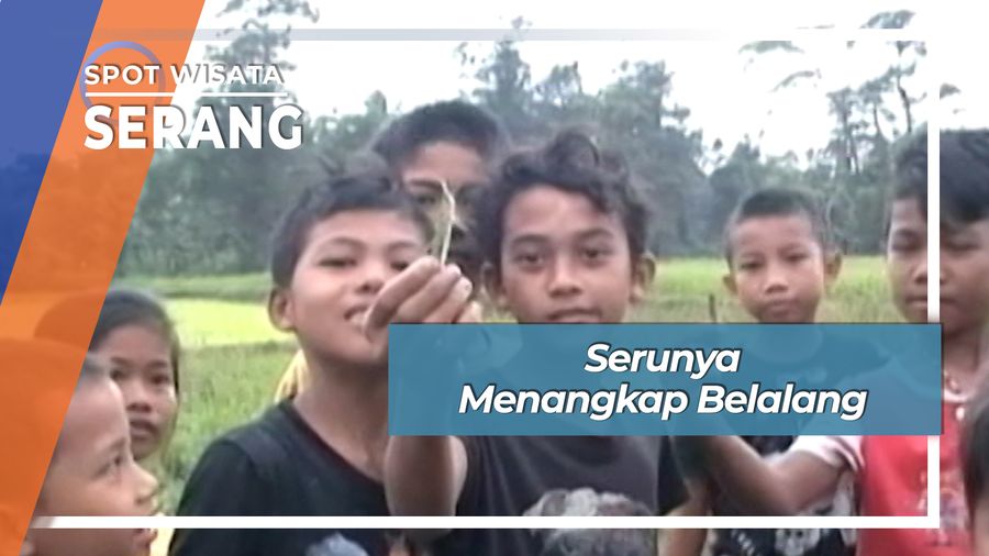Serunya Menangkap Belalang, Serang