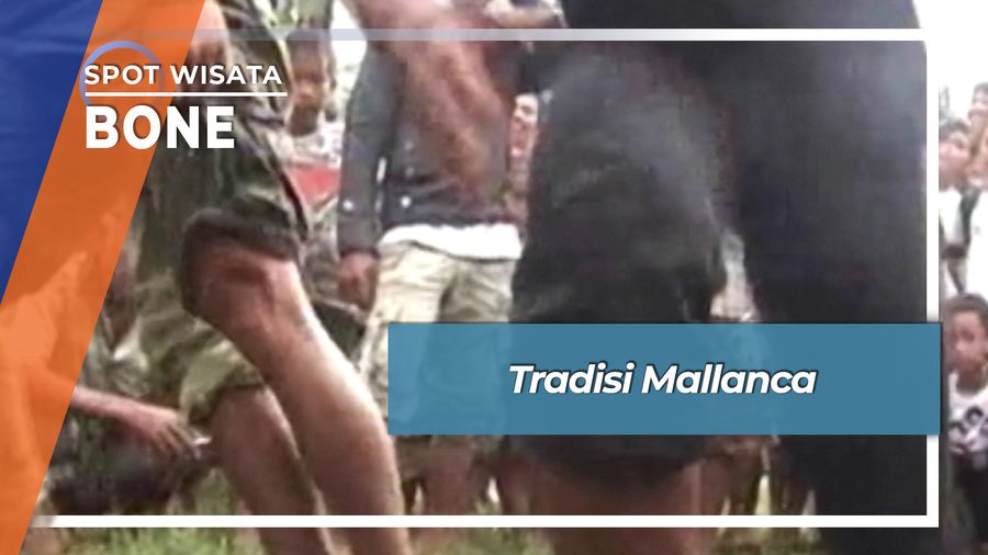 Tradisi Mallanca, Bone