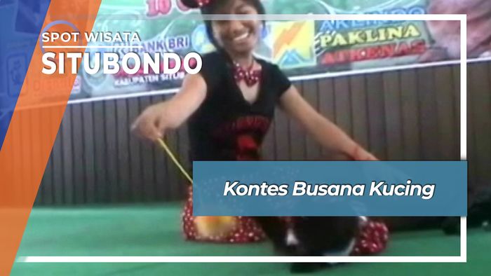 Kontes Busana Kucing, Situbondo