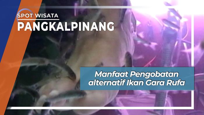 Terapi Ikan Gara Rufa Pangkalpinang
