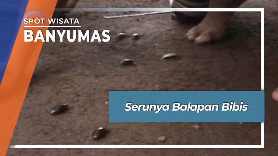 Serunya Balapan Bibis, Banyumas