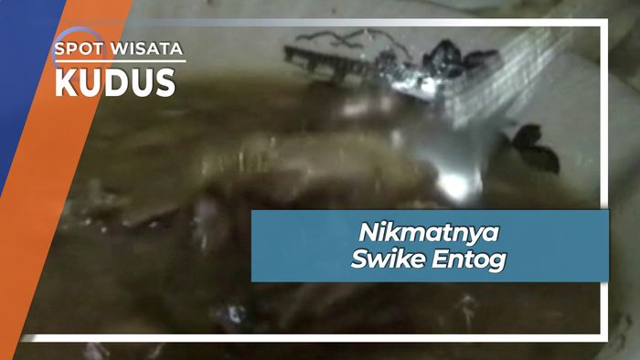 Nikmatnya Swike Entog, Kudus